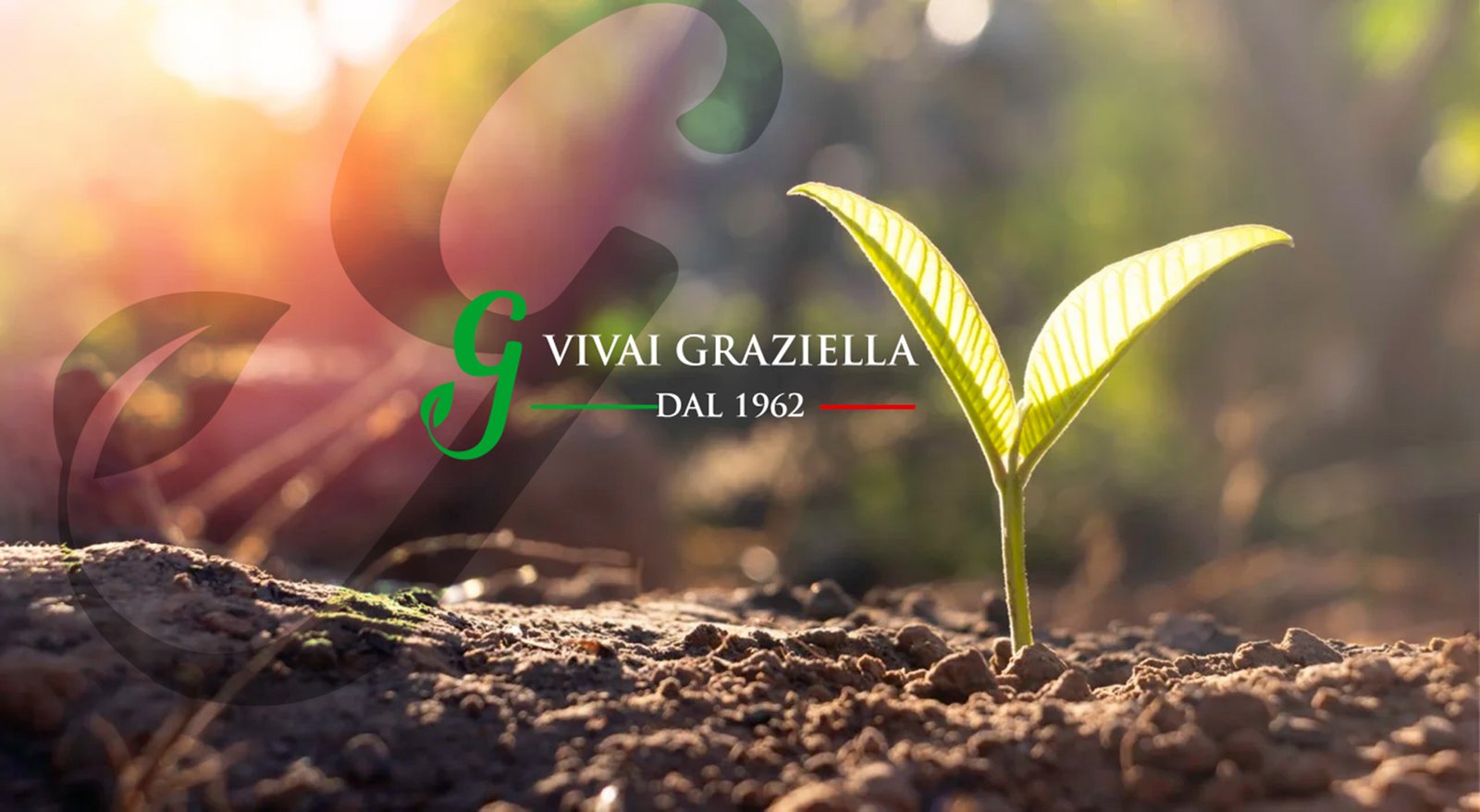 Vivai Graziella Garden Center