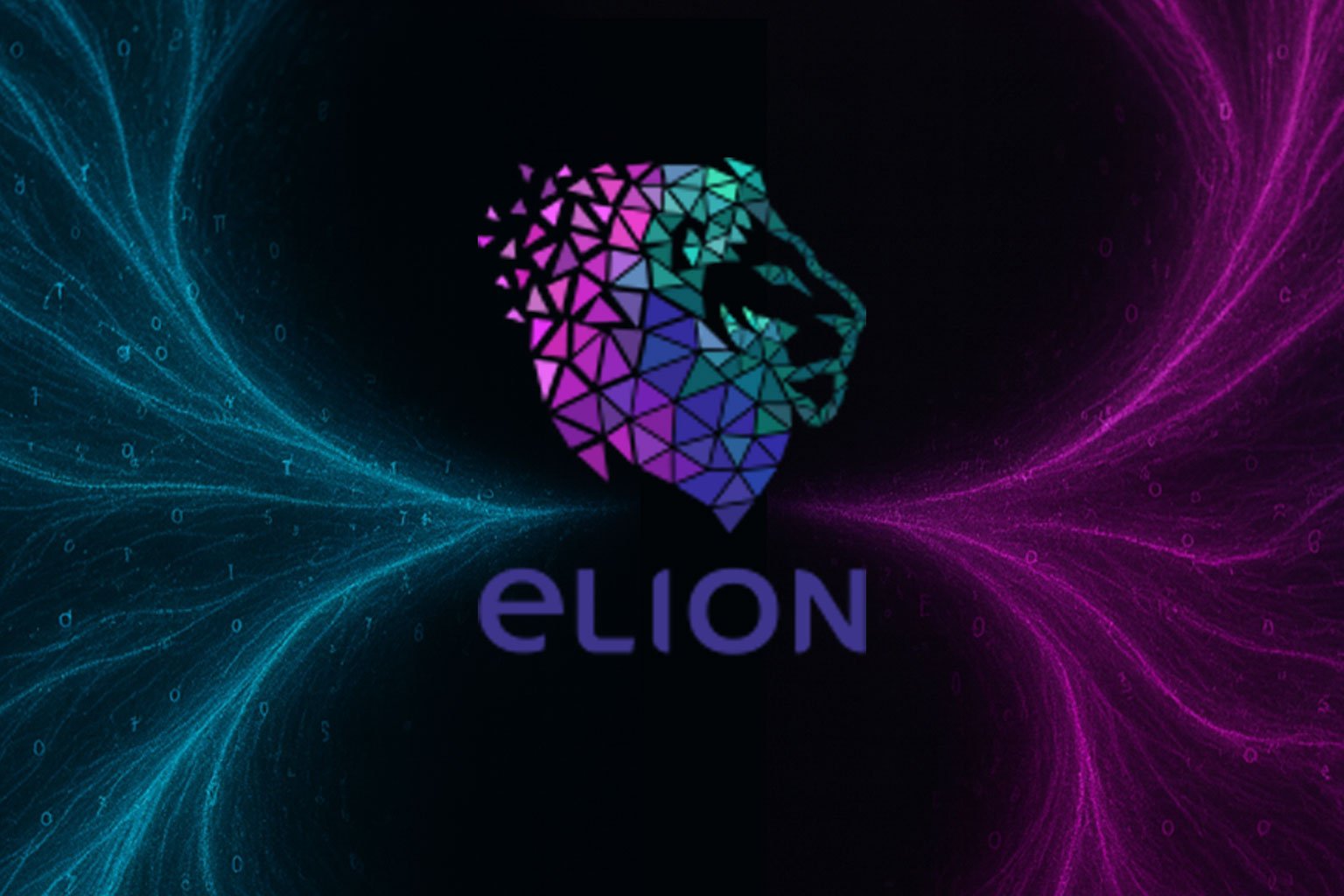 Il metodo Elion Web Marketing per far crescere le aziende con parole, visione e strategia